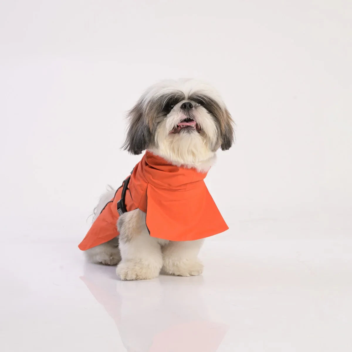 ZL Raincoat & Windcheater for Dogs - Apricot - Zigly