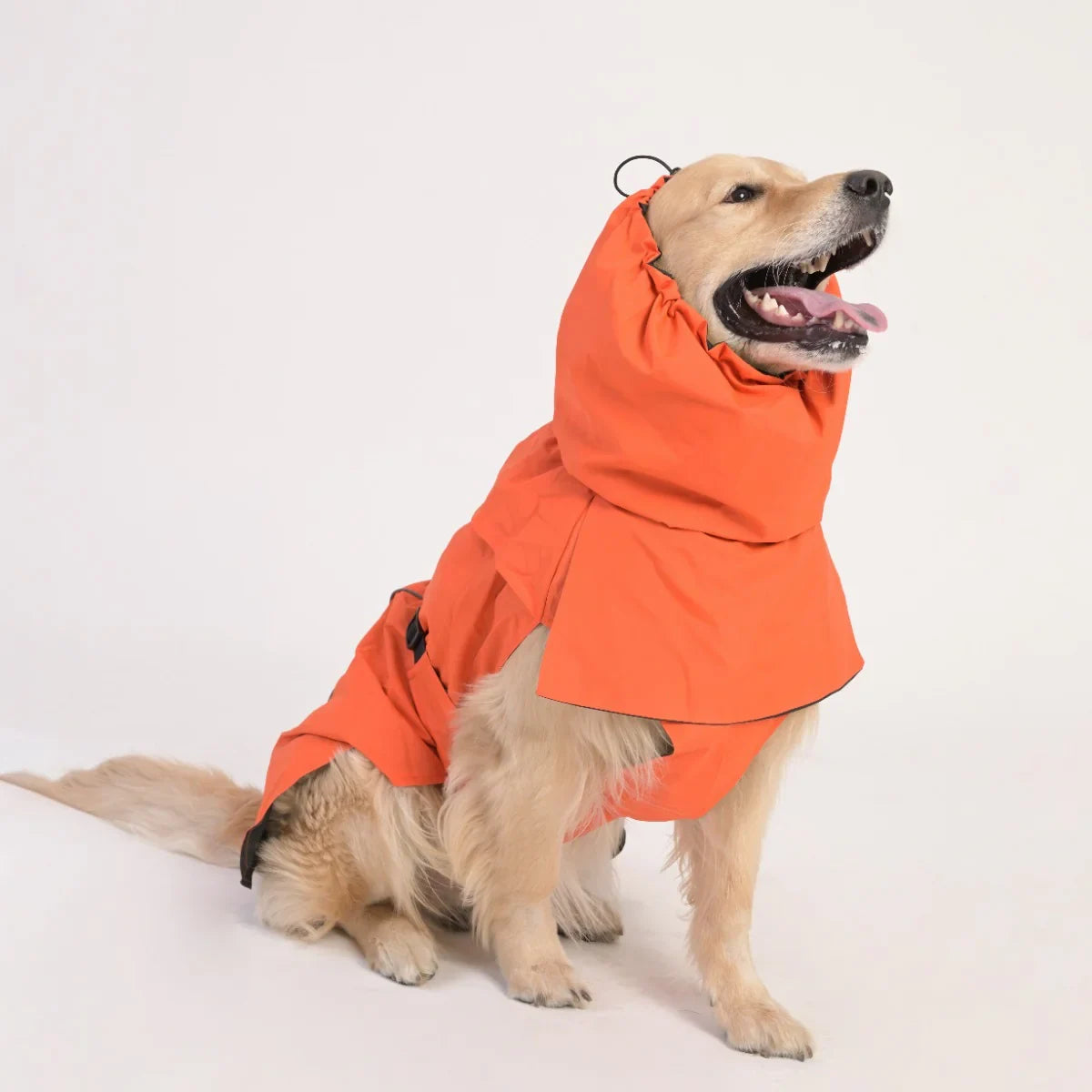 ZL Raincoat & Windcheater for Dogs - Apricot - Zigly