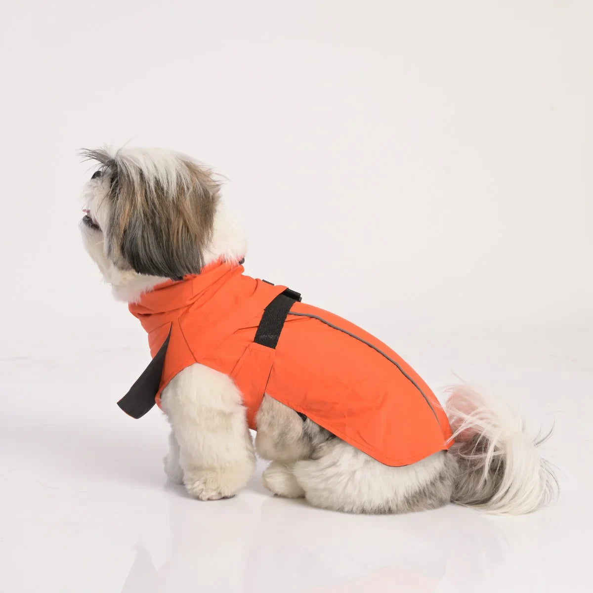 ZL Raincoat & Windcheater for Dogs - Apricot - Zigly