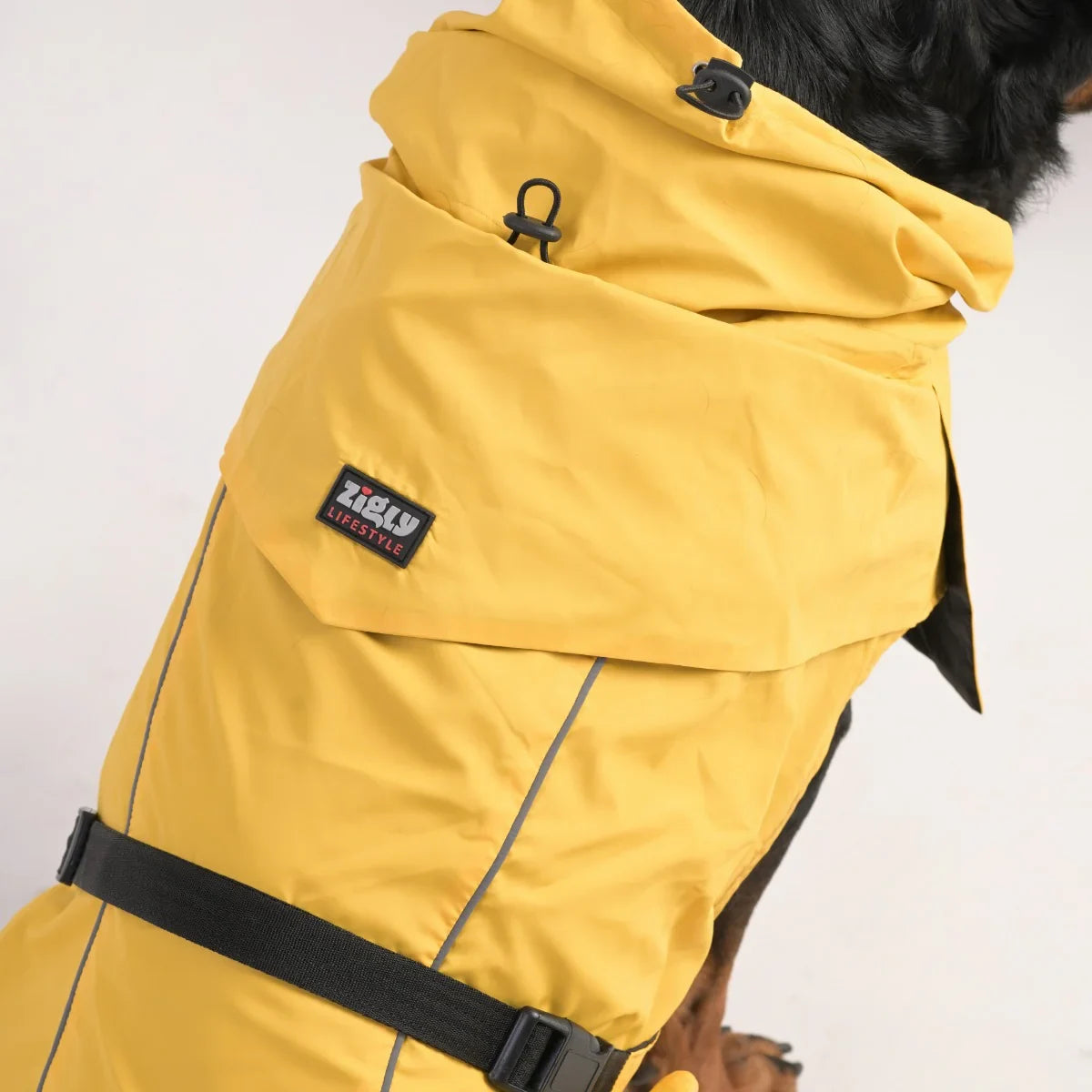 ZL Raincoat & Windcheater for Dogs - Blond - Zigly