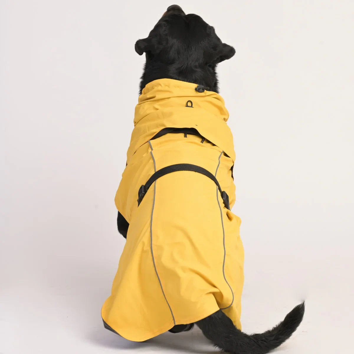 ZL Raincoat & Windcheater for Dogs - Blond - Zigly