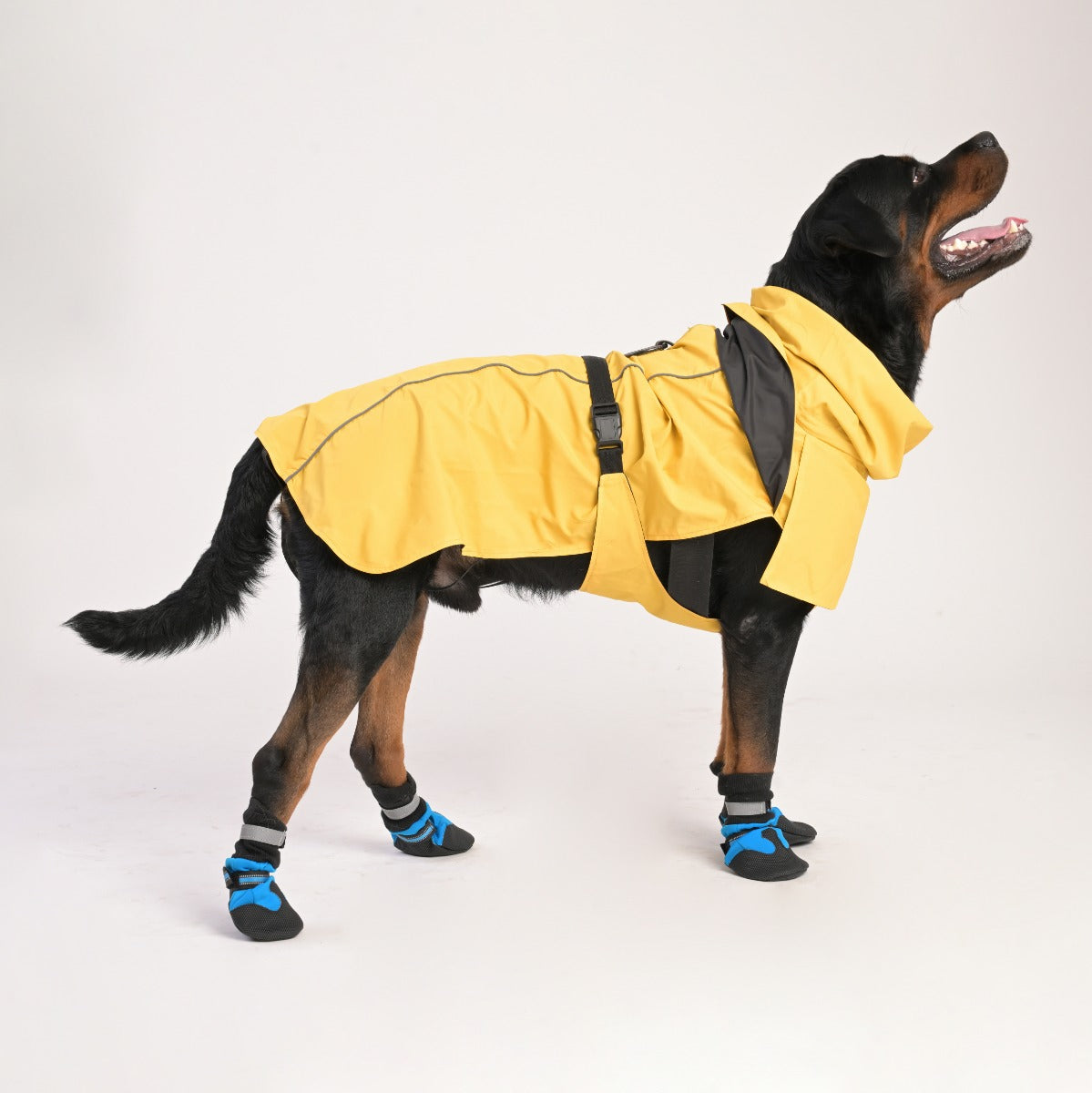 ZL Raincoat & Windcheater for Dogs - Blond - Zigly