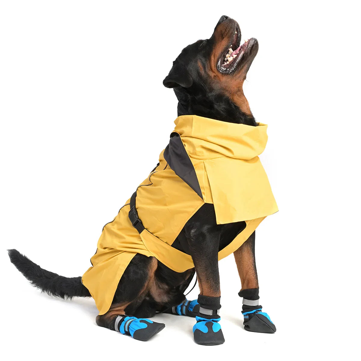 ZL Raincoat & Windcheater for Dogs - Blond - Zigly