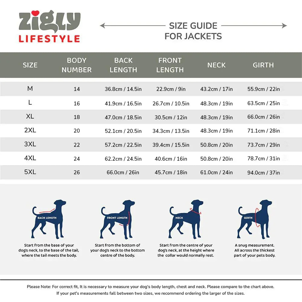 ZL Light & Shinny Wintery Dog Jacket - Zigly