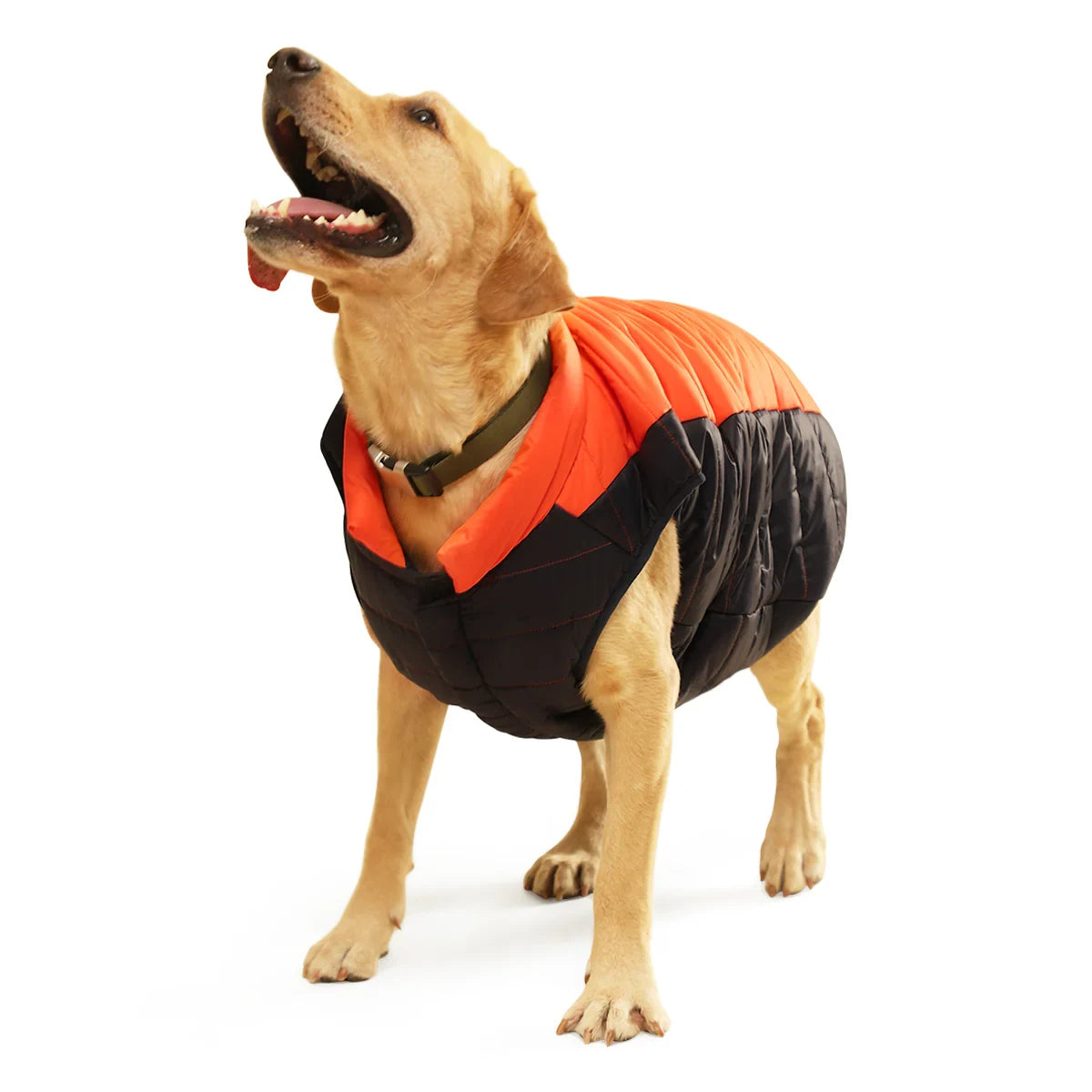 ZL Snowy & Cozy Wintery Dog Jacket - Zigly