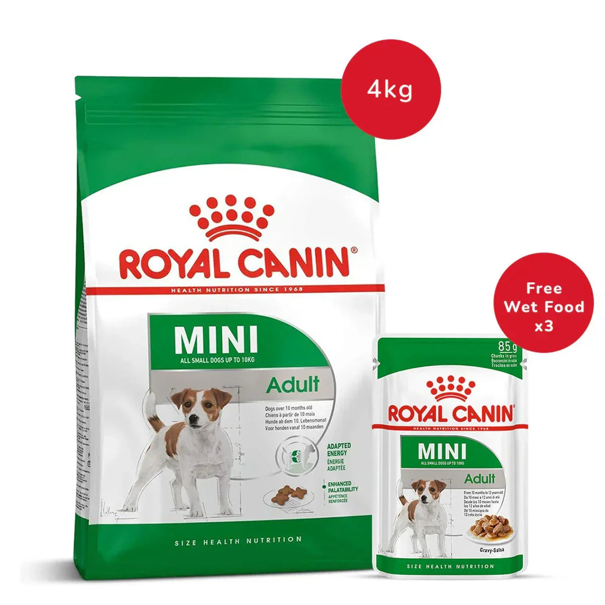 Royal Canin Mini Adult Dry Dog Food - 4 kg + Royal Canin Mini Adult Wet Dog Food (85 gm x 3) - Zigly