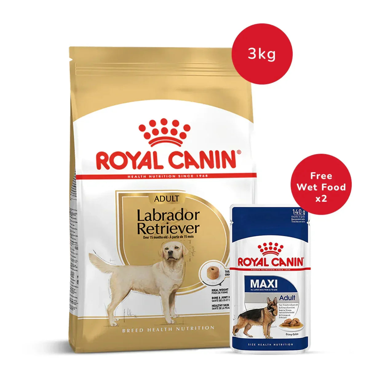 Royal Canin Labrador Retriever Adult Dry Dog Food - 3 kg + Royal Canin Maxi Adult Wet Dog Food - (140gm x 2) - Zigly