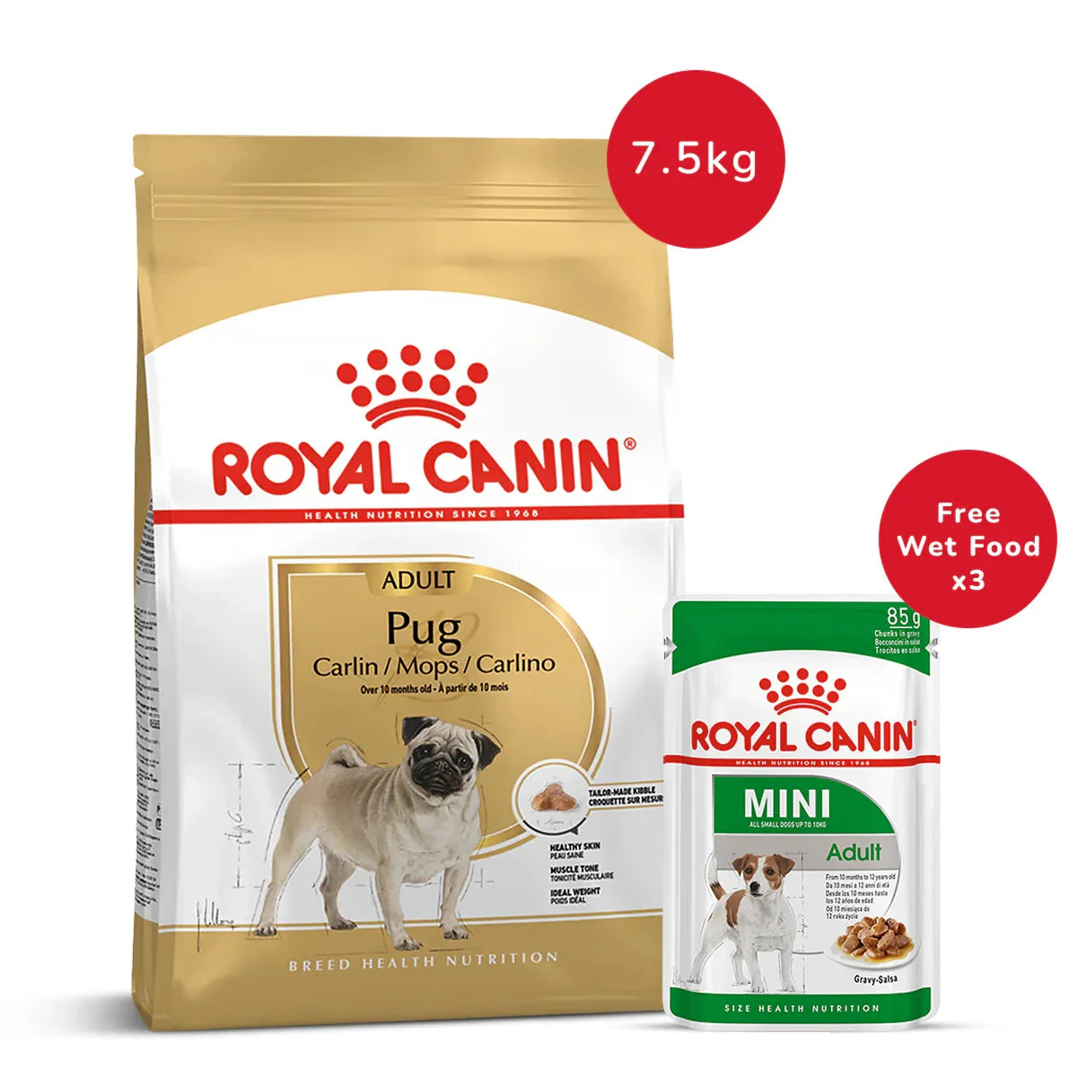 Royal Canin Pug Adult Dry Dog Food-7.5 kg + Mini Adult Wet Dog Food - (85gm x 3) - Zigly
