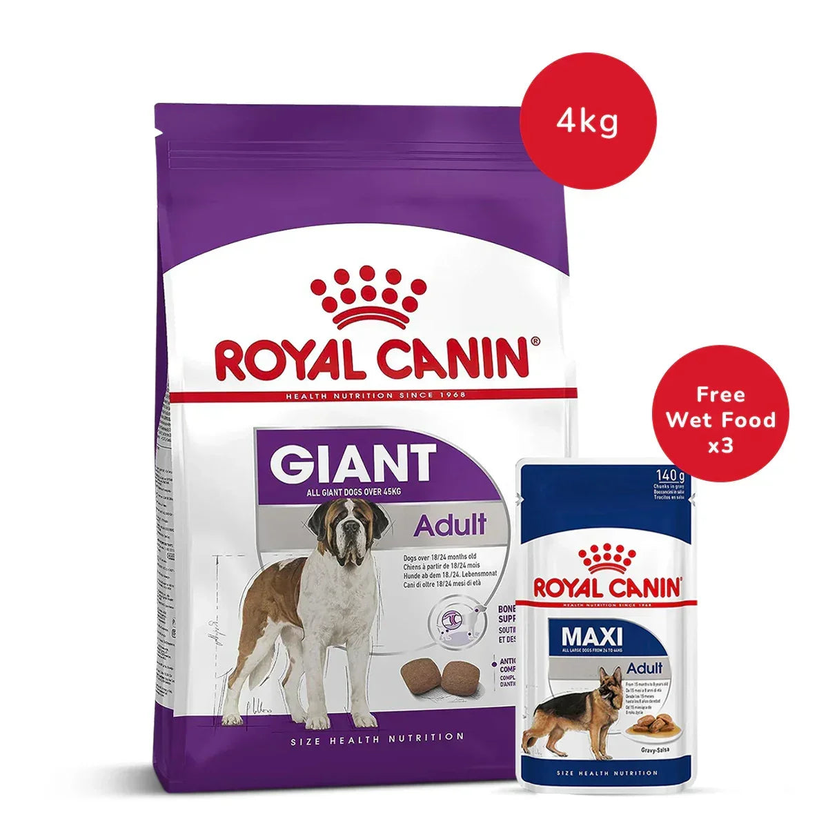 Royal Canin Giant Adult Dry Dog Food - 4 kg + Maxi Adult Wet Dog Food (140gm x 3) - Zigly