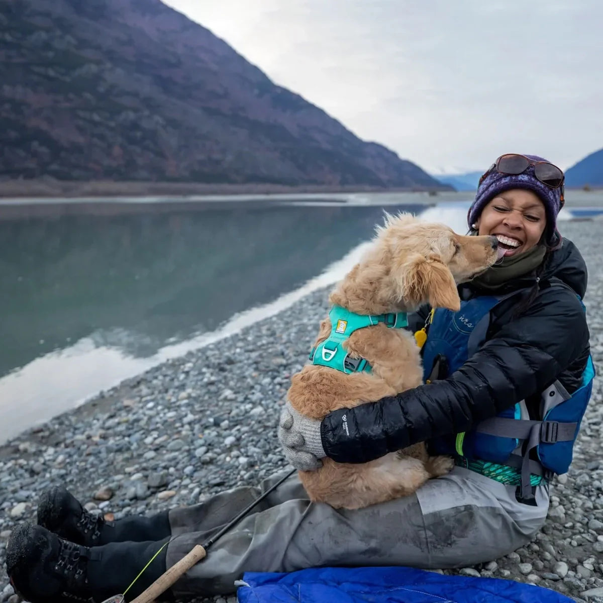 Ruffwear Front Range Padded Dog Harness Aurora Teal - Zigly