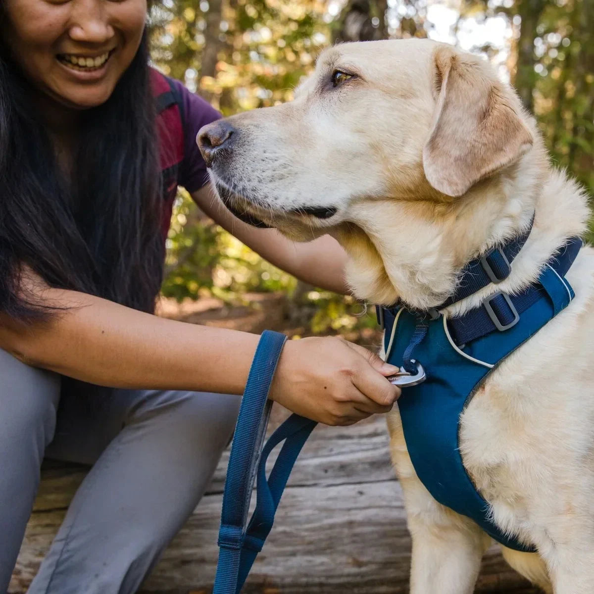 Ruffwear Front Range Padded Dog Harness Blue Moon - Zigly