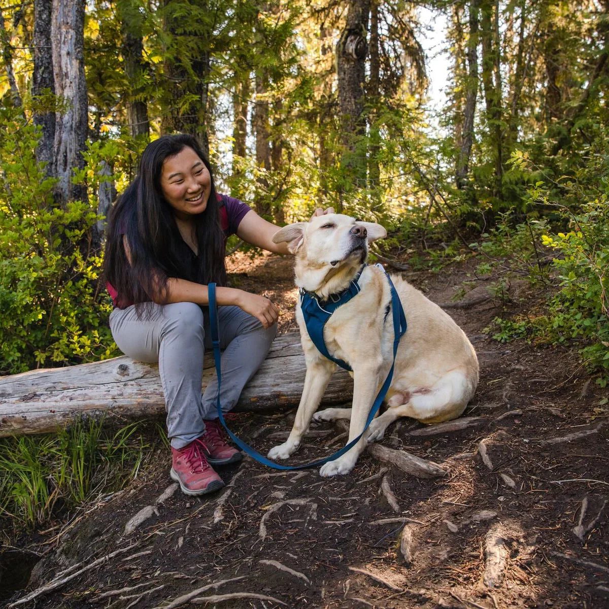 Ruffwear Front Range Padded Dog Harness Blue Moon - Zigly