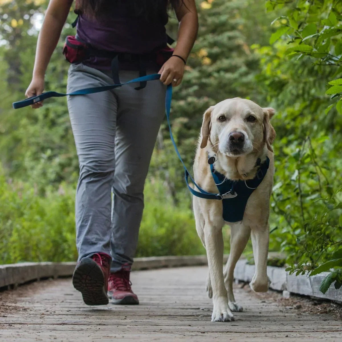 Ruffwear Front Range Padded Dog Harness Blue Moon - Zigly