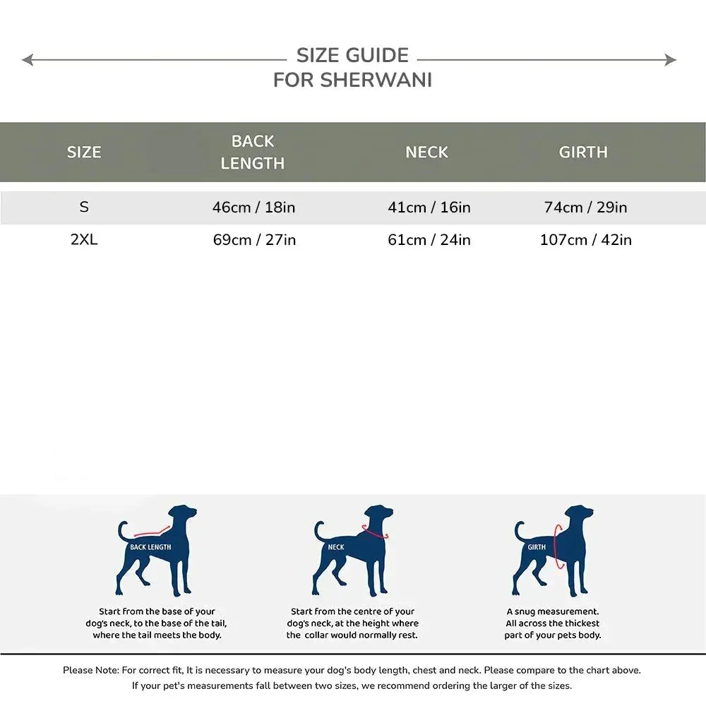 Zigly sherwani size chart for dogs showing measurements for back length, neck, and girth with illustrated guides.