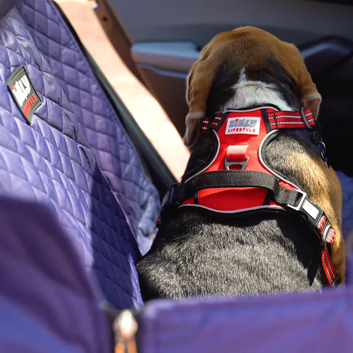 ZL Safety Sling Pet Car Seat Cover - Zigly