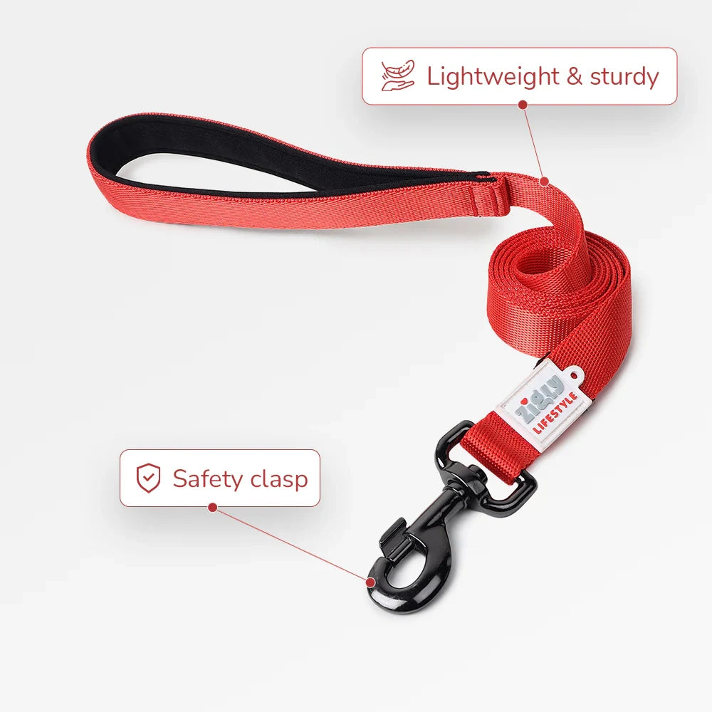 ZL Classic Padded Dog Leash  Red  - Zigly