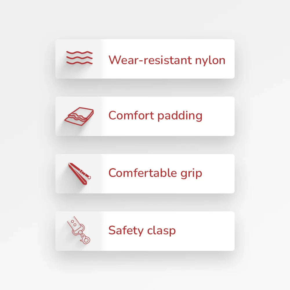 ZL Classic Padded Dog Leash  Black - Zigly