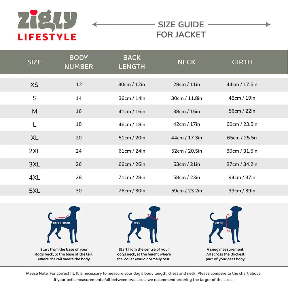 Zigly Lifestyle size guide chart for dogs' jackets with measurements for back length, neck, and girth