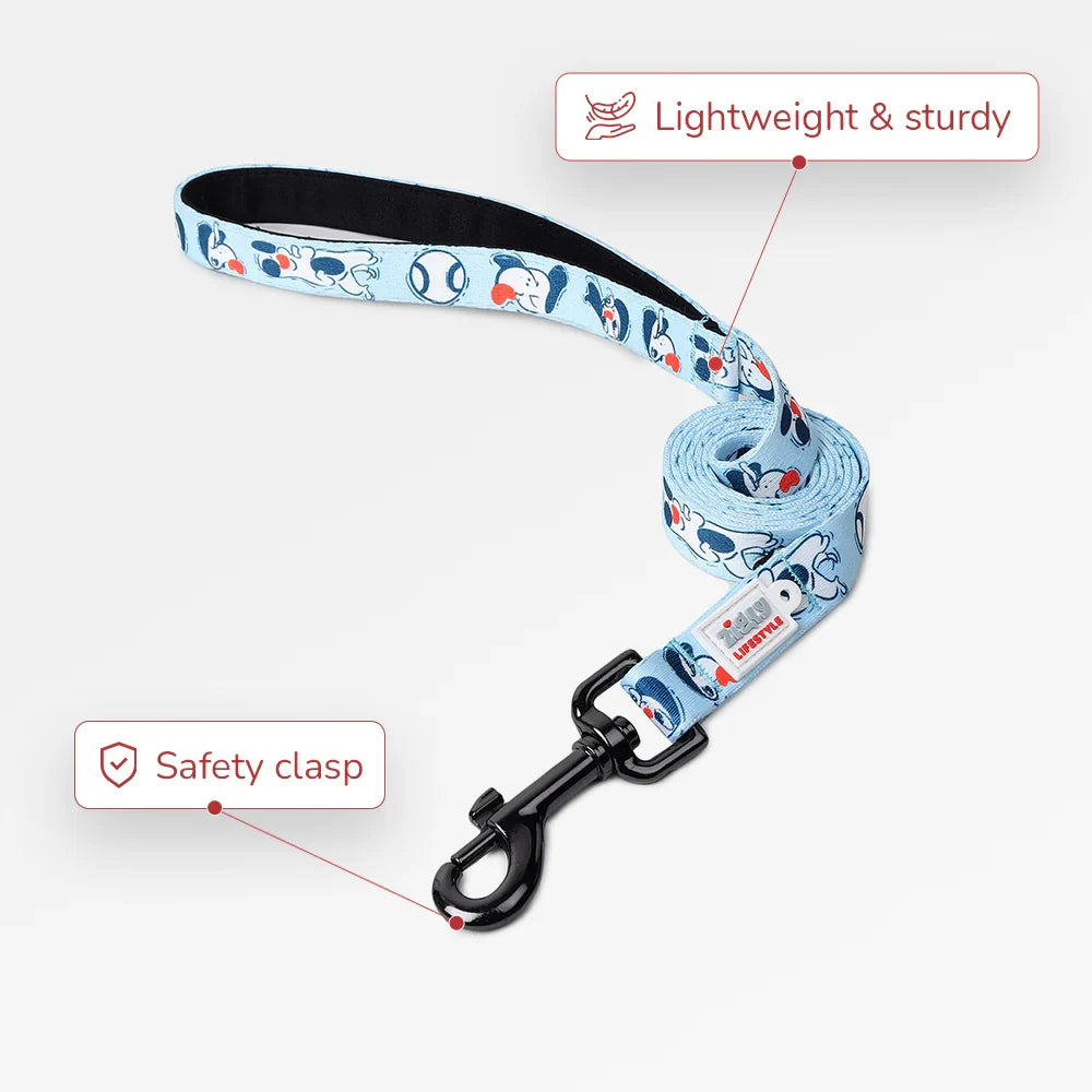 ZL Doodle Dog Leash - Blue - Zigly