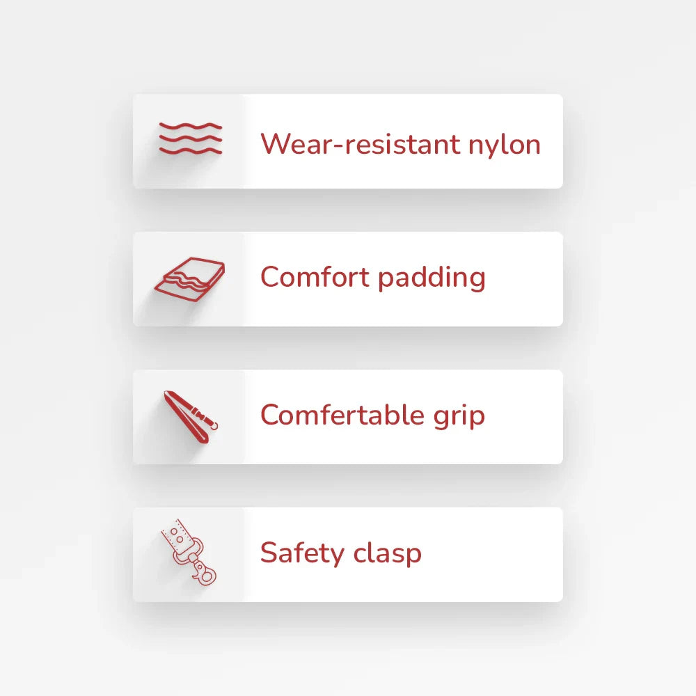 ZL Doodle Dog Leash - Blue - Zigly