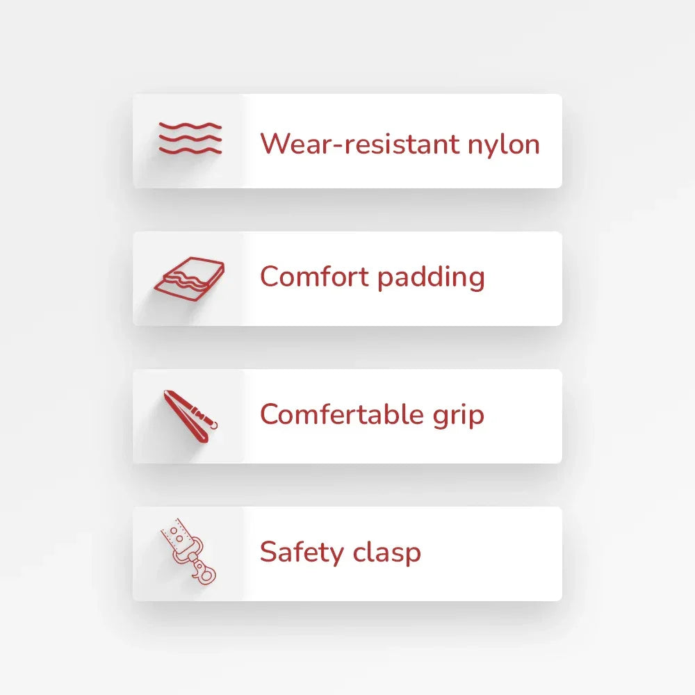 ZL Doodle Dog Leash - Blue - Zigly