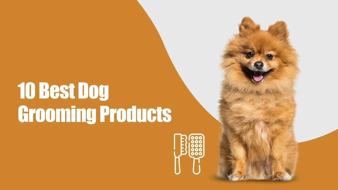 Fluffy dog with text '10 Best Dog Grooming Products', brushes, and zigly branding