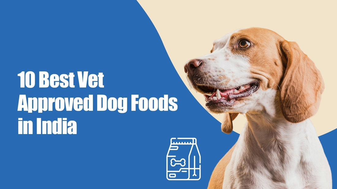 Top 10 Vet-Recommended Dog Foods in India (2025 Edition)
