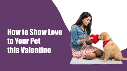 How to Show Love to Your Pet This Valentine’s Day