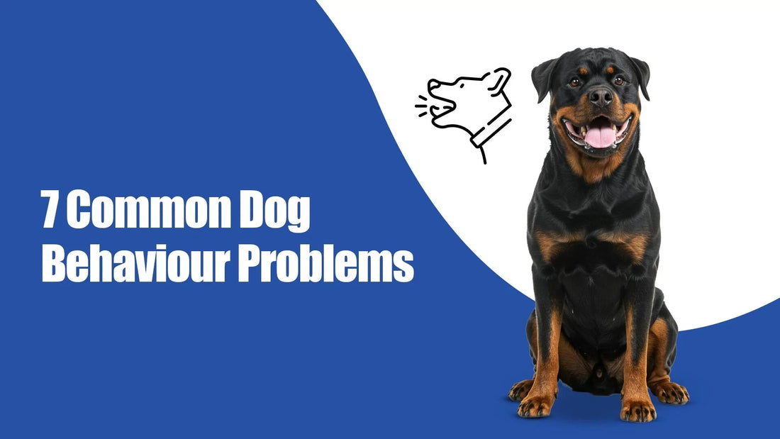 Smiling Rottweiler dog with '7 Common Dog Behaviour Problems' text and Zigly branding.