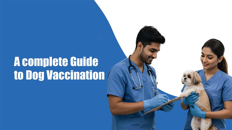 A Complete Guide to Dog Vaccination in India