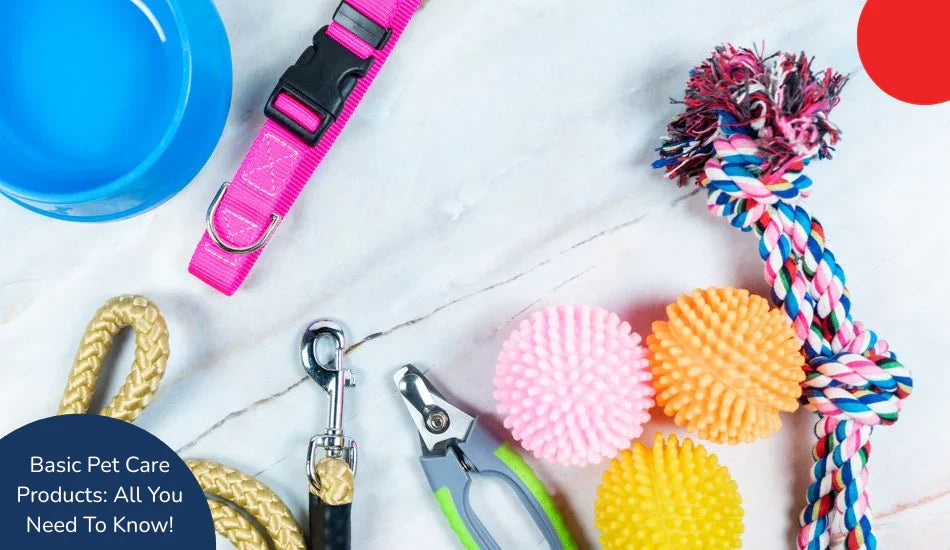 Zigly pet care essentials including leash, collar, toys, bowl, and nail clipper on a marble surface