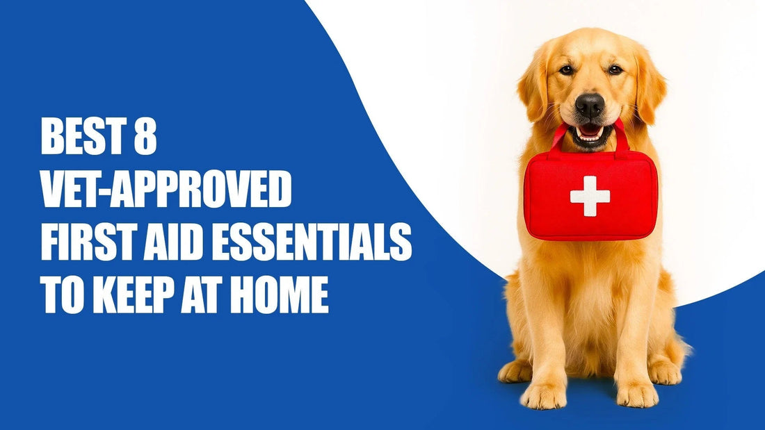 Golden retriever holding a red first aid kit, zigly vet-approved pet first aid essentials at home.