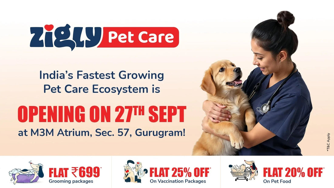 Zigly Pet Care grand opening banner with a vet holding a happy dog at M3M Atrium Gurugram