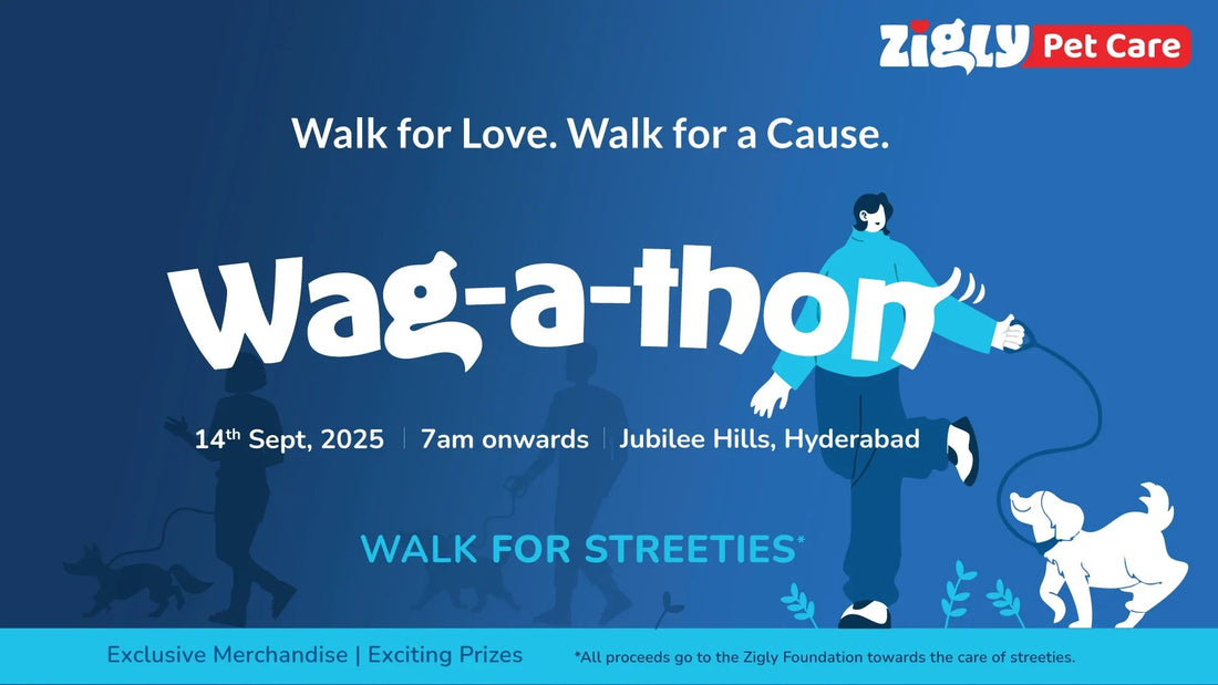 Zigly Wagathon event poster with people and dogs, Jubilee Hills Hyderabad, 14th Sept 2025
