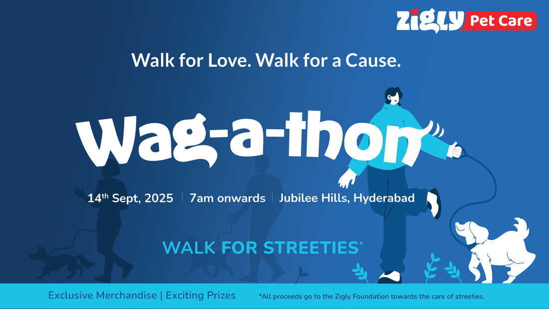 Wagathon at Zigly Jubilee Hills - Walk for Street Animals on 14th September