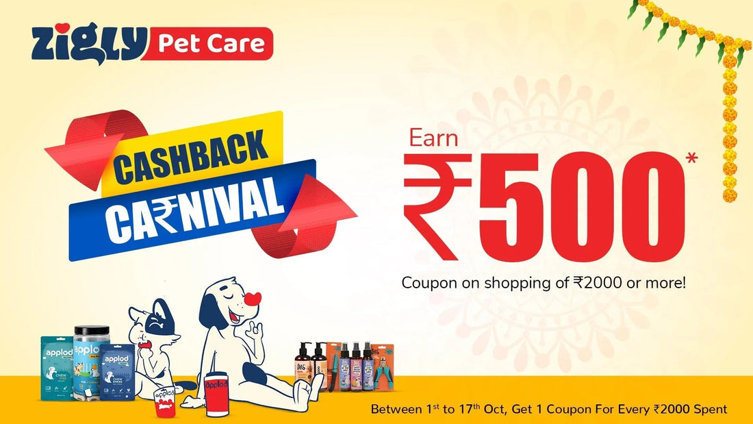 Zigly Pet Care Cashback Carnival banner with cartoon dog, cat, pet products, earn ₹500 offer