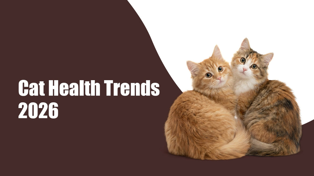 Cat Health Trends 2026: The Ultimate Guide for Loving Cat Parents