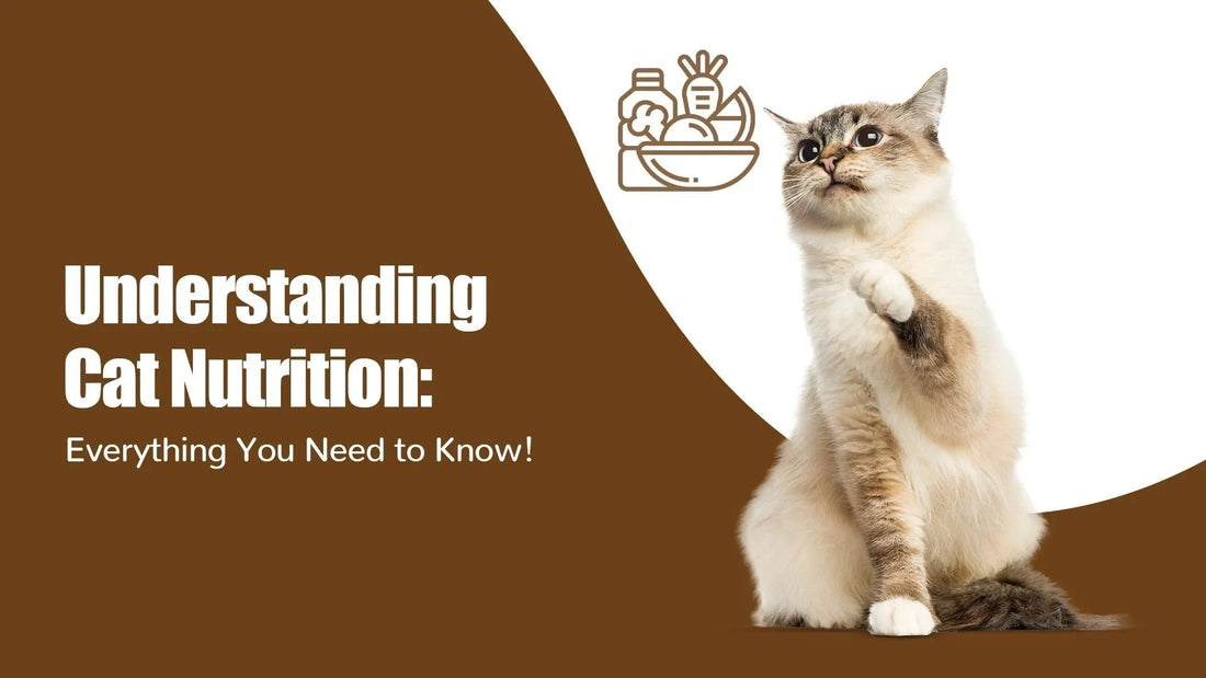 Playful cat sitting on brown and white background with cat nutrition text, Zigly branding, and food icon