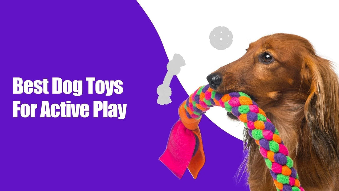Zigly dog chewing colorful rope toy, Best Dog Toys For Active Play text on purple background