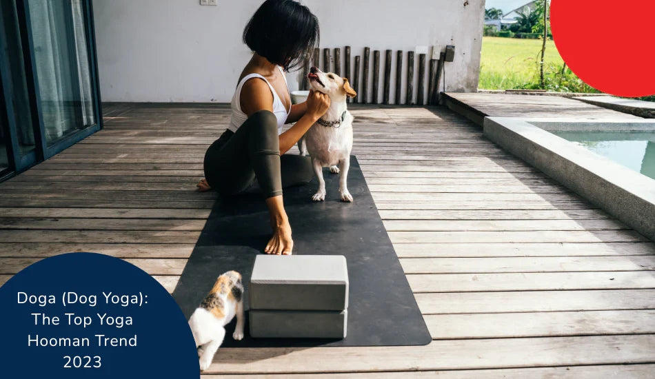 Woman practicing doga with two dogs on yoga mat outdoors, zigly pet wellness trend