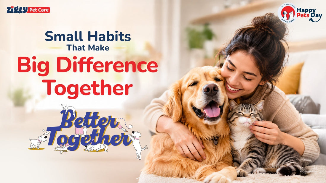 Small Habits That Make a Big Difference, Together