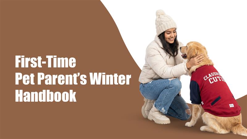 First-Time Pet Parent Winter Handbook