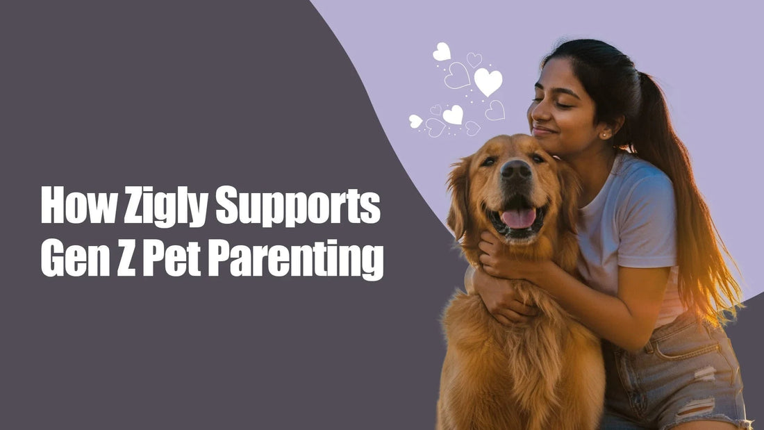 Gen Z woman hugs golden retriever with hearts, Zigly pet parenting support visual.