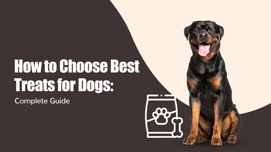 Smiling Rottweiler dog beside treat bag icon and 'How to Choose Best Treats for Dogs' zigly guide