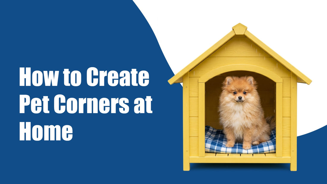 Pets Corner at Home: How to Create a Comfortable Space Your Pet Will Actually Use