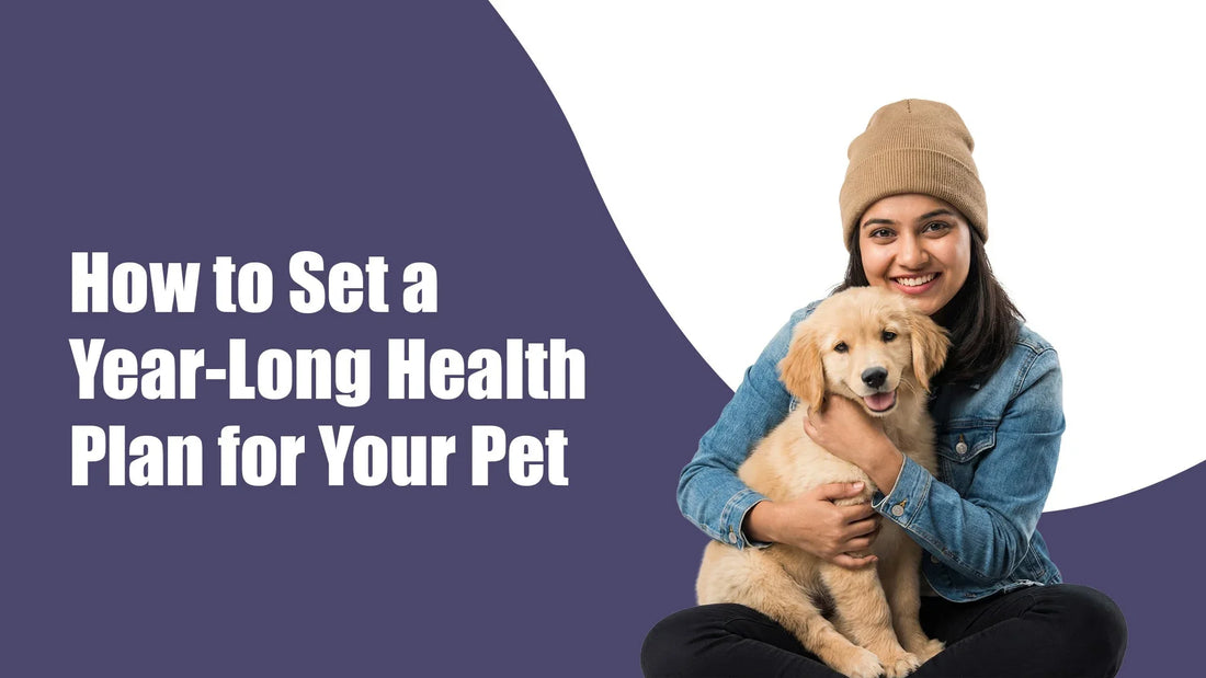 How to Set a Year-Long Health Plan for Your Pet?