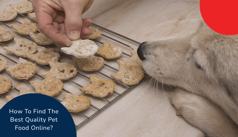 how-to-find-the-best-quality-pet-food-online
