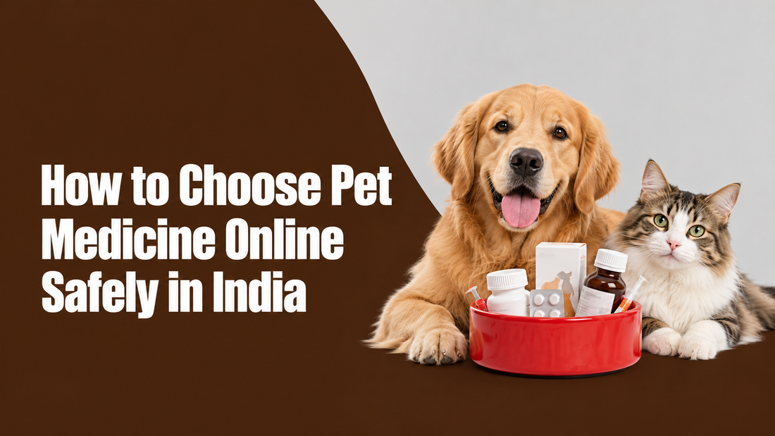 How to Choose Pet Medicine Online Safely in India