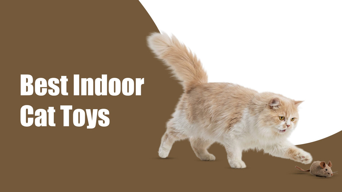 Indoor Cat Toys: What Actually Keeps Your Indoor Cat Happy