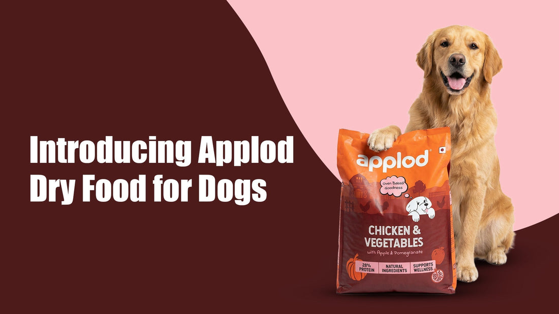 Introducing Applod Dry Food: Thoughtful Nutrition for Every Life Stage